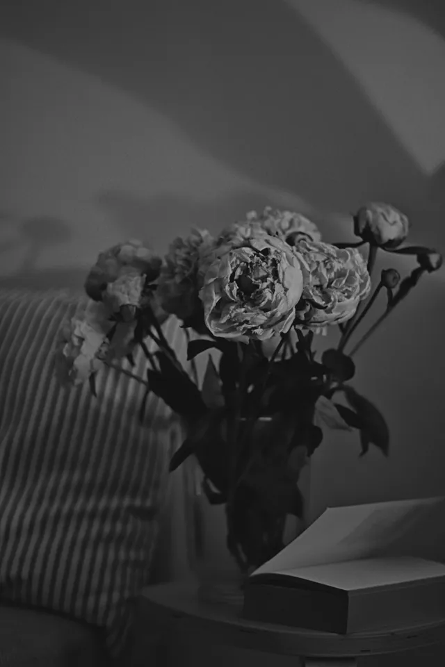 Flowers in soft light